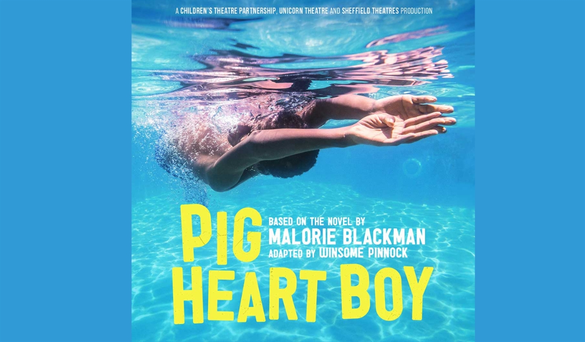 Pig Heart Boy