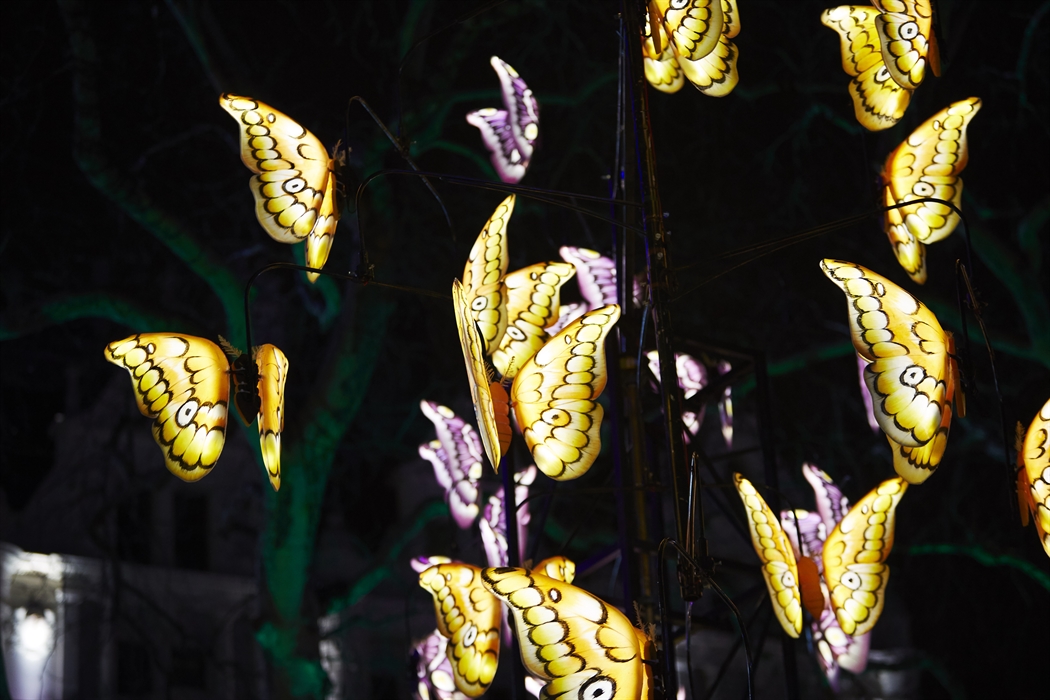 The Moth Garden