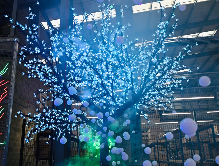 Sky Forest