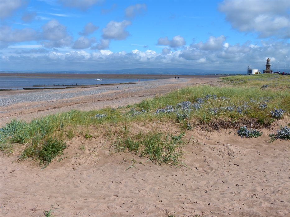 Fleetwood Beach Care | Visit Blackpool