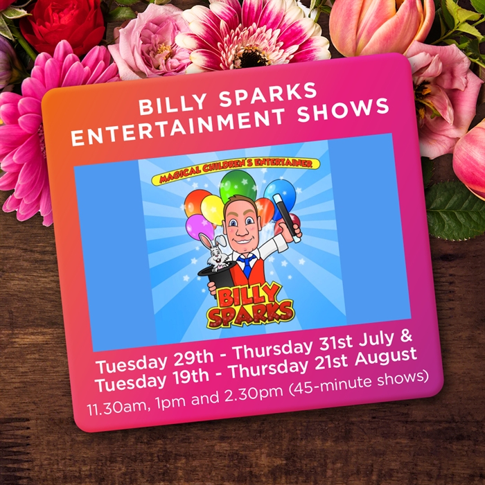 Billy Sparks Entertainment Shows