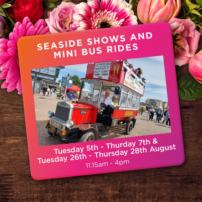 Seaside Shows with Mini Bus Rides