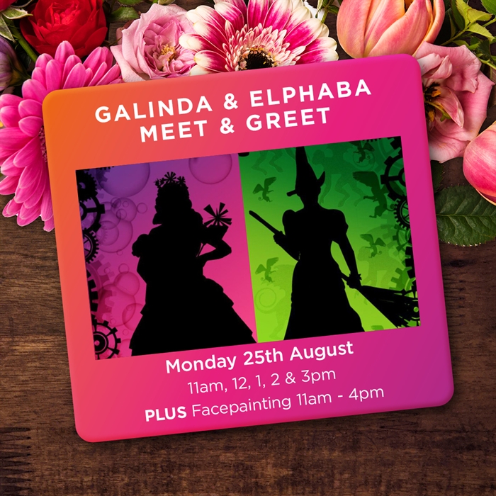 Wicked Galinda & Elphaba Meet & Greet with Face Painting