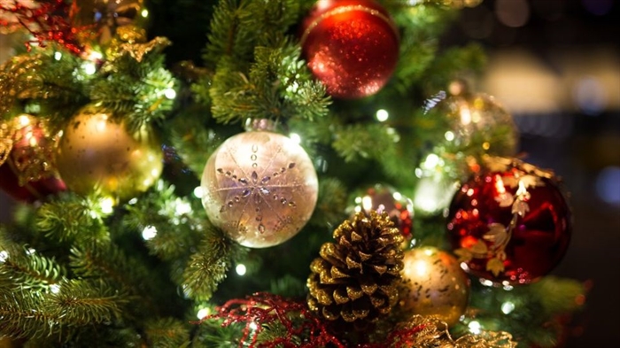 Christmas Tree Festival | Visit Blackpool